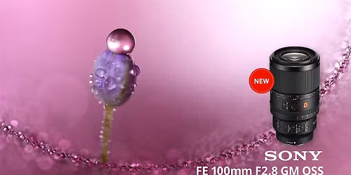 Sony First Look featuring the MACRO FE 100mm f\/2.8 GM OSS Lens
