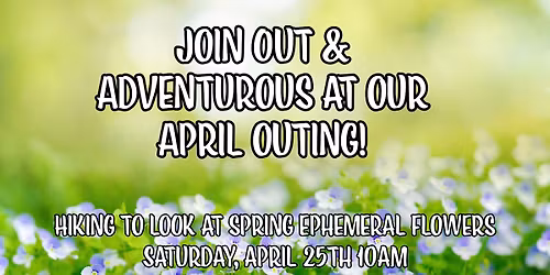 Out & Adventurous: Hiking to see Spring Ephemeral Flowers