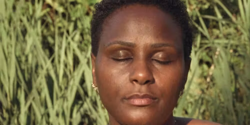 Selecci\u00f3n de cortometrajes - Ciclo de cine "Ra\u00edces en foco"