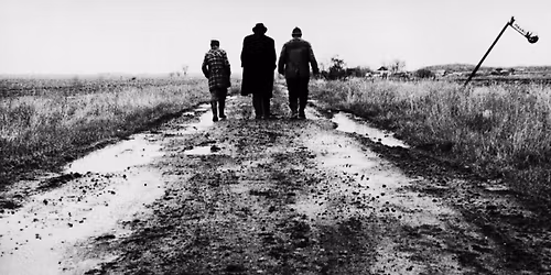 In Memoriam B\u00e9la Tarr