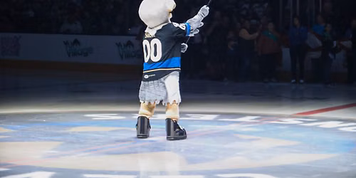 Teddy Bear Toss