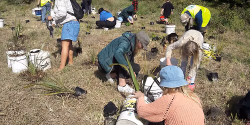 Friends of Coast care