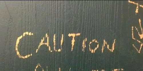 CAUTION - Grateful Dead Tribute at 115 Bourbon Street!