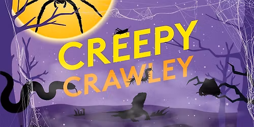 Creepy Crawley - Trick or Treat Bag Decorating
