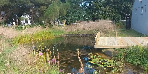 Pond Dipping at Winton Recreation Ground