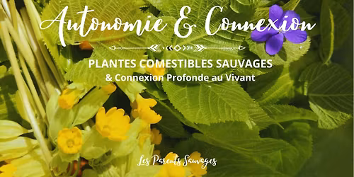 Plantes Sauvages Comestibles & Connexion Profonde au Vivant