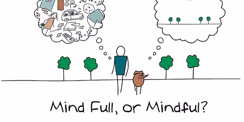  6 Week Course Mindfulness 2.0 & Embodied Awareness