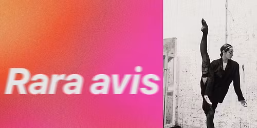 ISHIDA Dance Company: 'Rara avis'