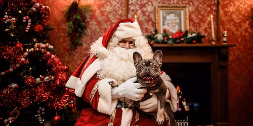Santa Paws\u2019 Festive Afternoon Tea