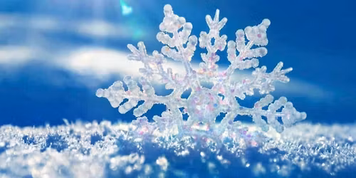 Mini March\u00e9 de No\u00ebl