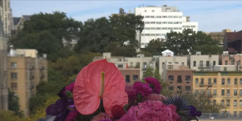 Floral Designer Open House