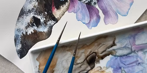 Eyed Hawk Moth on Scabious Watercolour Workshop with Rita Gould 