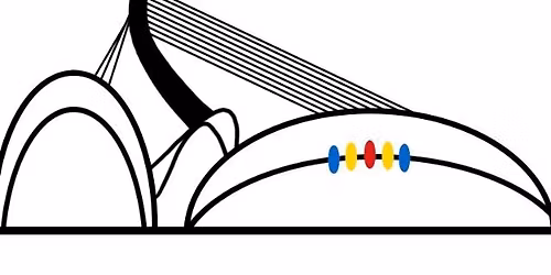 European Golden Oldies Rugby Festival 2026