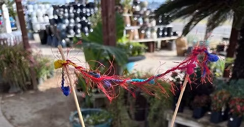 Tiny Gardens Tea Party 5\/4 11am