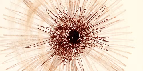 DOME_LIVE 036 Kurt\u00e1g-univerzum || Kurt\u00e1g 100