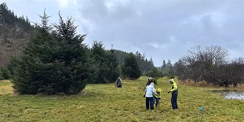 Celebrate the Solstice with Stewardship