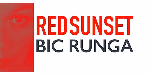 Bic Runga | Red Sunset Tour | Hamilton