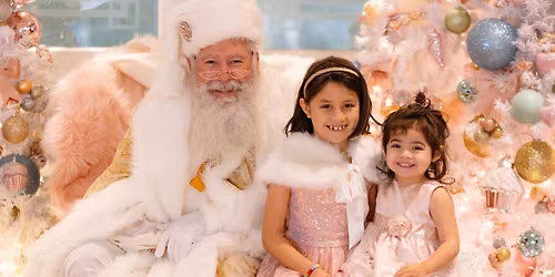 November 28 Whimsical Mini Holiday Photo Sessions with Santa