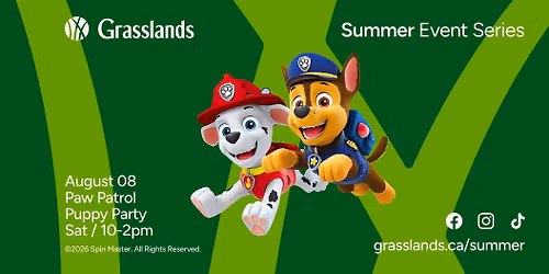 Paw Patrol Puppy Party