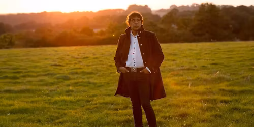 Laurent Voulzy En Concert