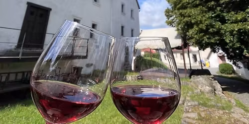 Degustace v podhrad\u00ed