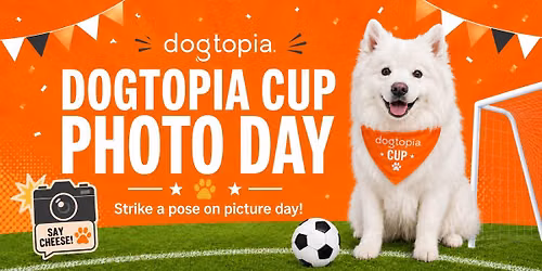 Dogtopia Cup Photo Day