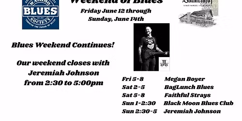 Jeremiah Johnson - Wash MO Blues Weekend of Blues 