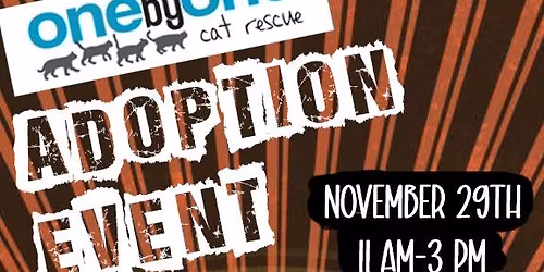 One By One Cat Rescue Adoption Event