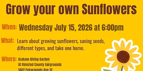 Grow your own sunflowers