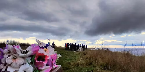 Sunday Morning Nature Songs 