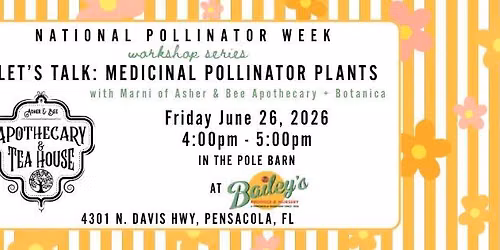 Let\u2019s Talk: Medicinal Pollinator Plants with Marni of Asher & Bee Apothecary + Botanica