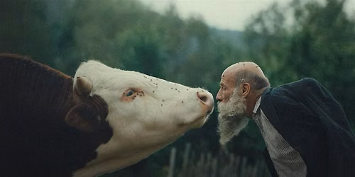 Better Go Mad in the Wild [screening]