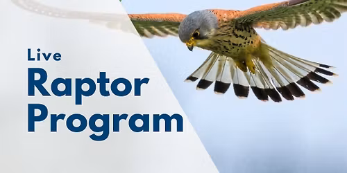 Live Raptor program presented by KTCB