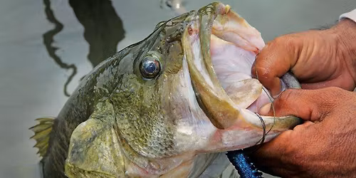 2026 Monona Big Bass Bash presented by Madtown Bass Club and Kelley\u2019s Marine