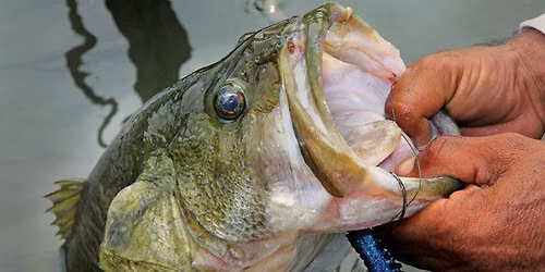 2026 Monona Big Bass Bash presented by Madtown Bass Club and Kelley\u2019s Marine