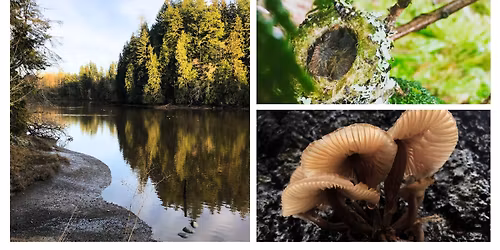 Intro to Nature Awareness