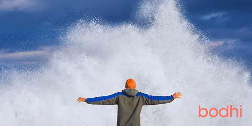 Bodhi Moment: Dealing with Stress \u2013 FREE