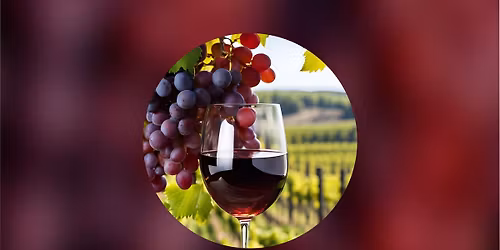 Vinobran\u00ed Litom\u011b\u0159ice