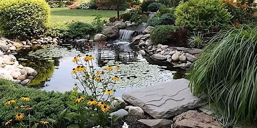 Family Caregivers Retreat: Support, Solutions & Serenity