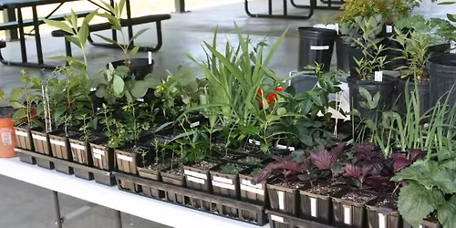 Spring 2026 East Tennessee Plant Swap