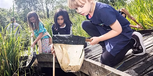Home Educator Visit Day: Living Things and their habitats