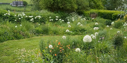 HOW TO DESIGN A PLANT COMMUNITY with Jack Wallington