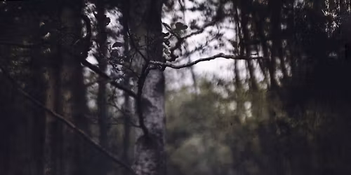 Fra hamsterhjul til Hyldemor - incl f\u00e6llesspisning 