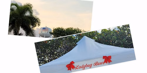 Ladybug Bows will be at Downtown Stuart Craft Festival