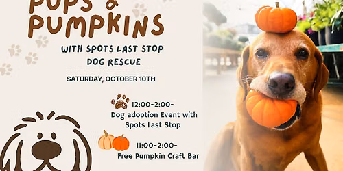 Pups & Pumpkins