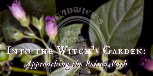 Into the Witch\u2019s Garden: Approaching the Poison Path with Fern Deadwick