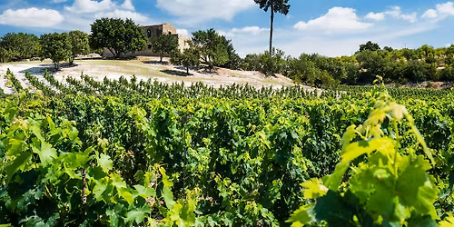 Wine Dinner - A Journey by the Sea