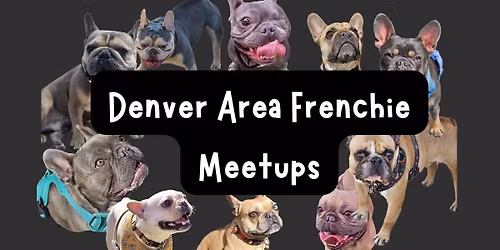 November - Frenchie Meetup