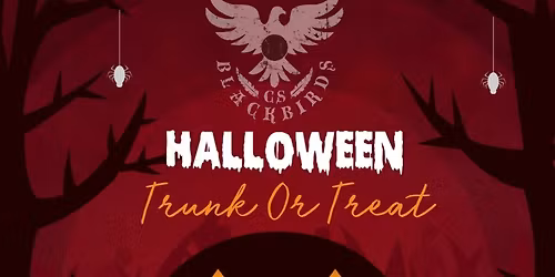 BlackBirds Baseball Halloween