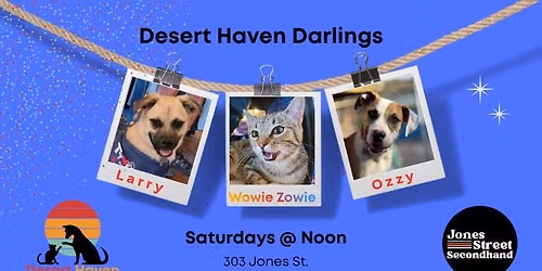 Darlings of Desert Haven @ Jones Street Secondhand